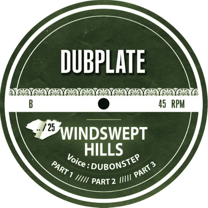 Polyvinyl Dubplate II