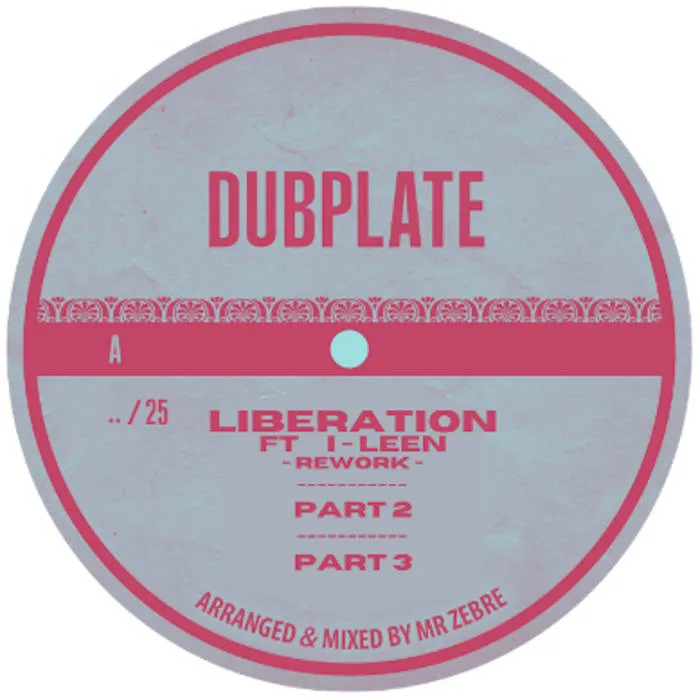 Polyvinyl Dubplate IV